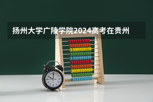 扬州大学广陵学院2024高考在贵州招生计划