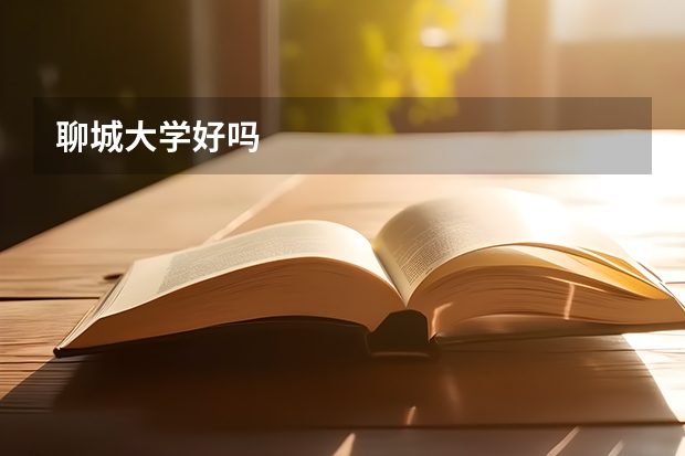 聊城大学好吗