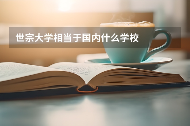 世宗大学相当于国内什么学校