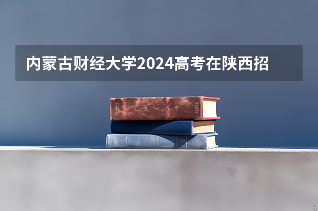 内蒙古财经大学2024高考在陕西招生计划