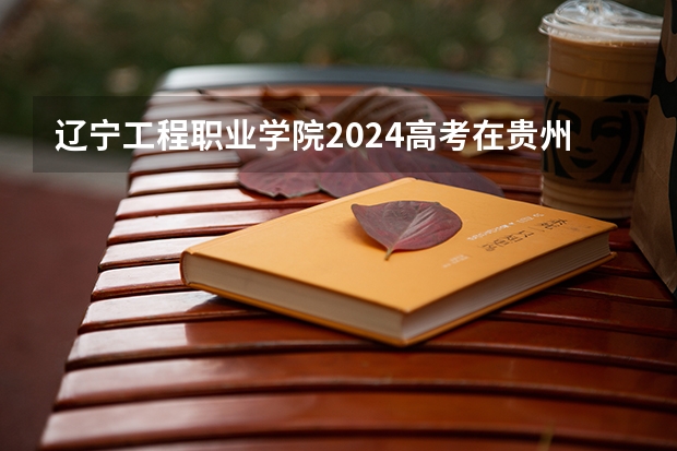 辽宁工程职业学院2024高考在贵州招生计划
