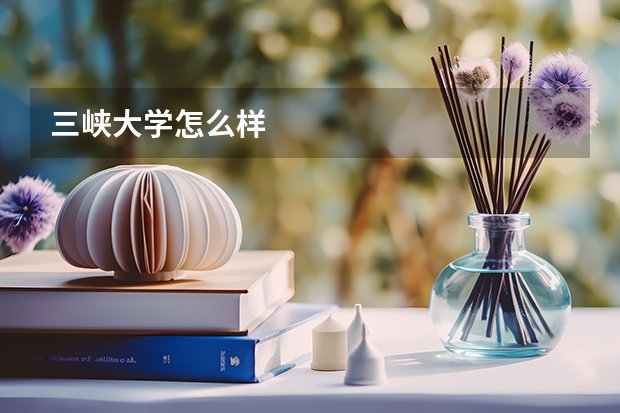 三峡大学怎么样