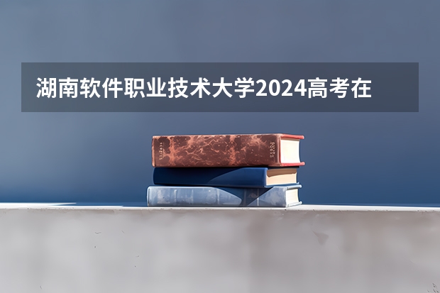 湖南软件职业技术大学2024高考在广西招生计划