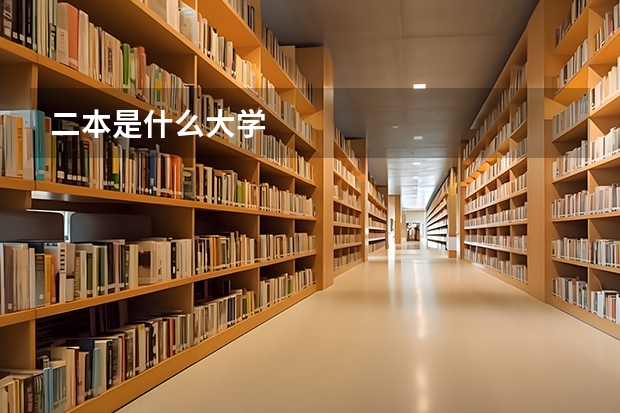 二本是什么大学