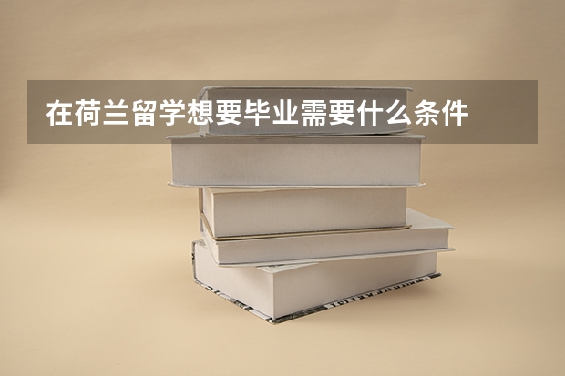 在荷兰留学想要毕业需要什么条件