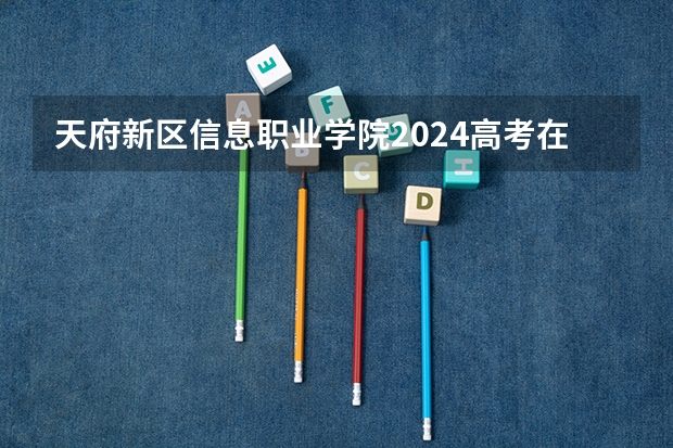 天府新区信息职业学院2024高考在广西招生计划
