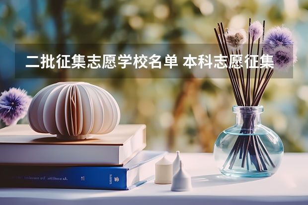 二批征集志愿学校名单 本科志愿征集学校名单