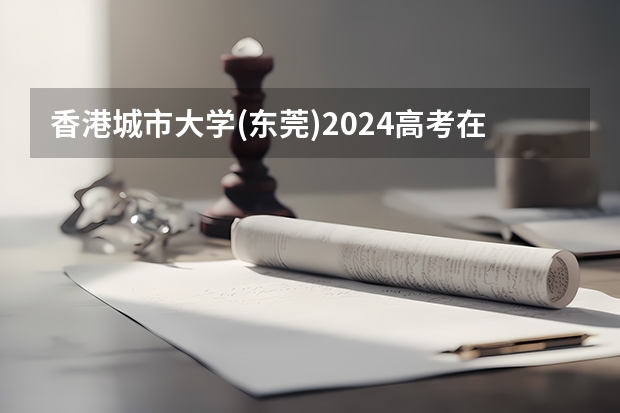 香港城市大学(东莞)2024高考在陕西招生计划