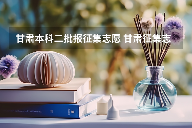 甘肃本科二批报征集志愿 甘肃征集志愿降分录取的二本院校