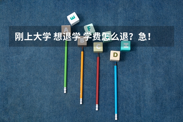 刚上大学 想退学 学费怎么退？急！