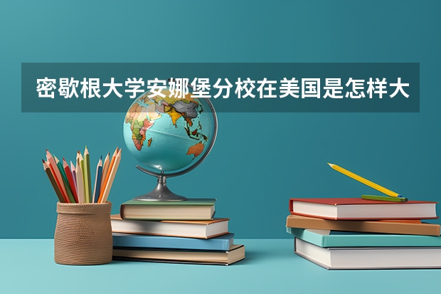 密歇根大学安娜堡分校在美国是怎样大学?美国休斯顿大学怎么样？