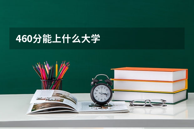 460分能上什么大学