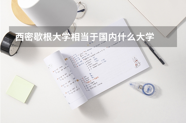 西密歇根大学相当于国内什么大学