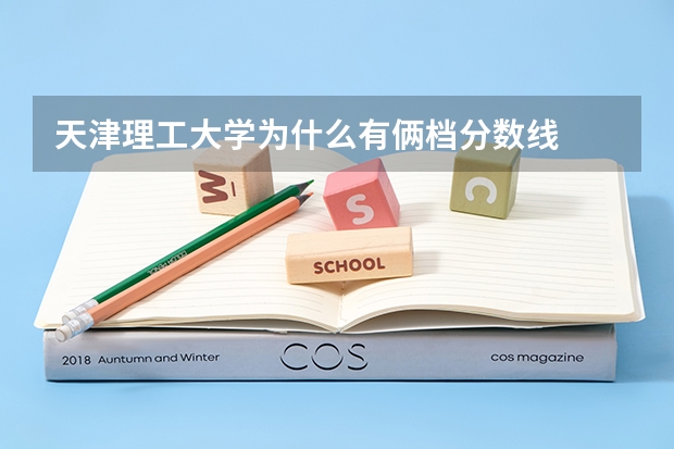天津理工大学为什么有俩档分数线