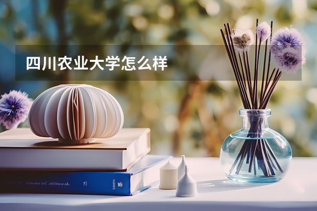 四川农业大学怎么样