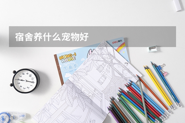 宿舍养什么宠物好