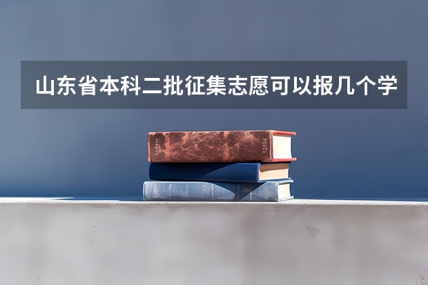山东省本科二批征集志愿可以报几个学校？ 本科二批征集志愿