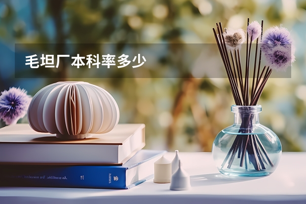 毛坦厂本科率多少