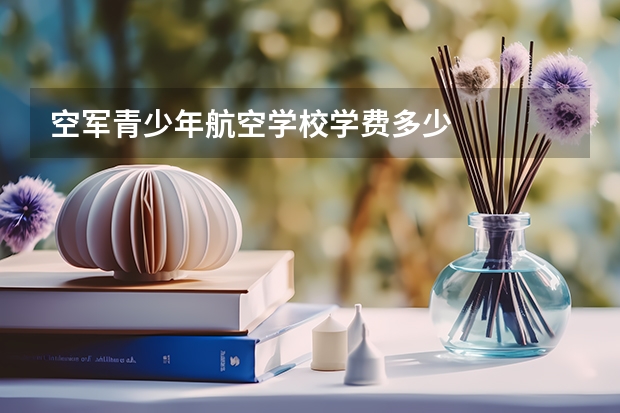 空军青少年航空学校学费多少