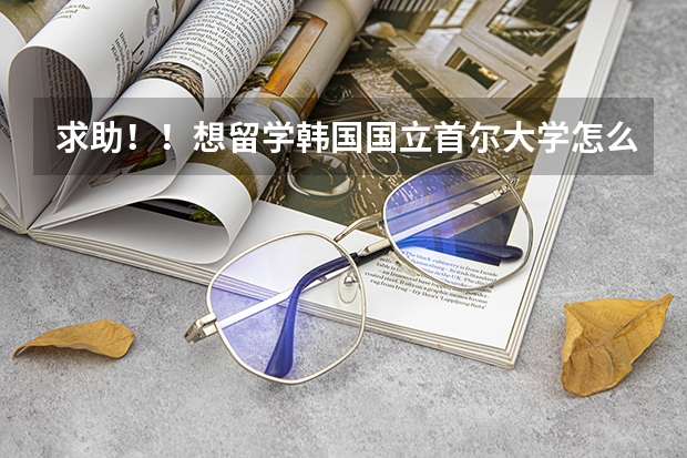 求助！！想留学韩国国立首尔大学怎么申请！