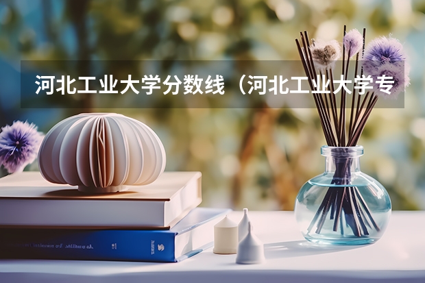 河北工业大学分数线（河北工业大学专升本分数线）