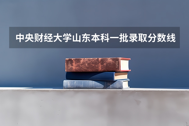 中央财经大学山东本科一批录取分数线（中央财经大学金融系录取分数线）