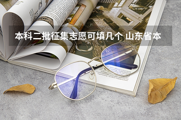 本科二批征集志愿可填几个 山东省本科二批征集志愿可以报几个学校？