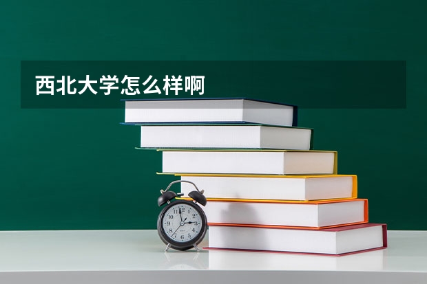 西北大学怎么样啊
