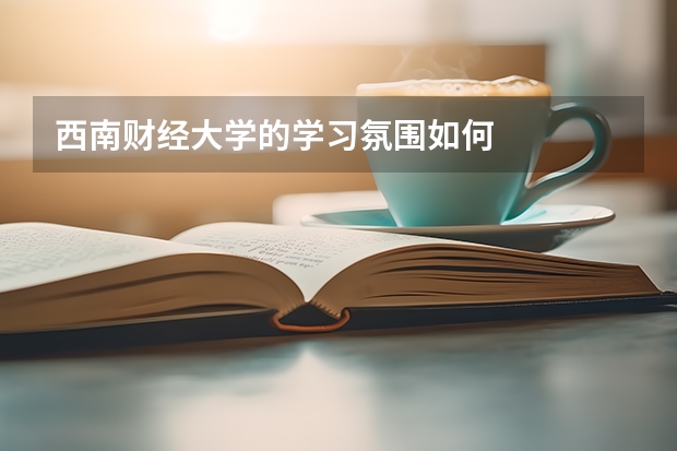 西南财经大学的学习氛围如何